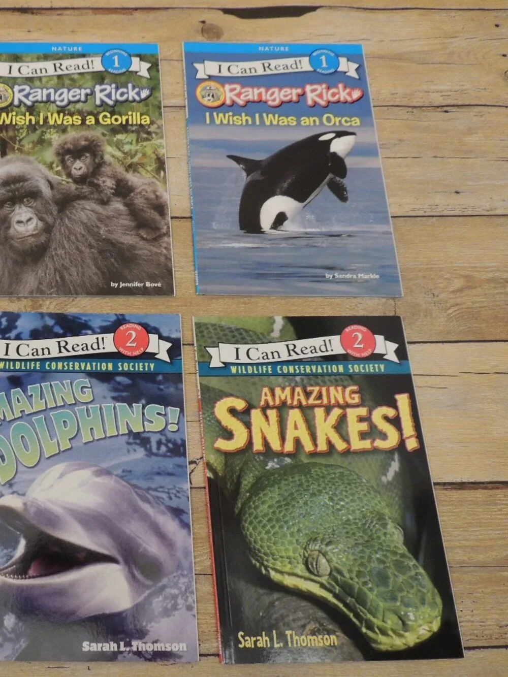 I Can Read this lot